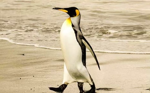 [�ر�]������������5ƪ