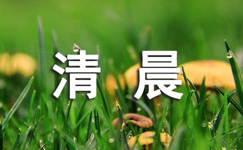 清晨的作文(集合)
