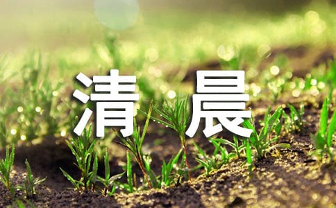 �峿����ľ���