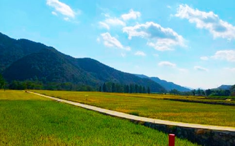 ���ȡ����յ�����15ƪ