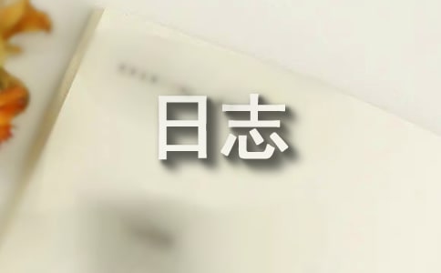 ��־д������һ����