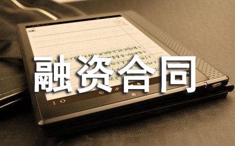 企业融资合同标准范本