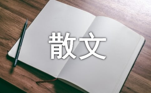 600�����д������ɢ��