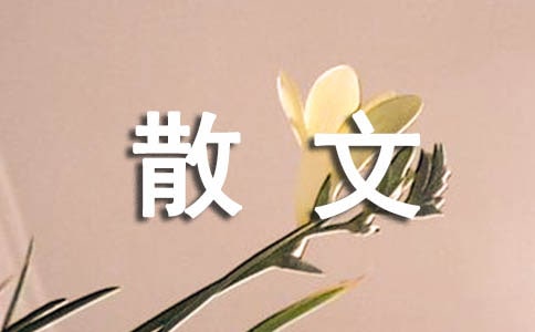 ��д�����ɢ�ģ�ͨ��24ƪ��