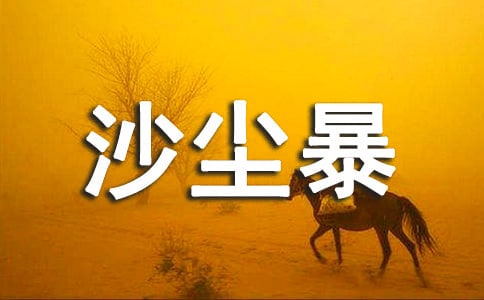 (����)ɳ��������