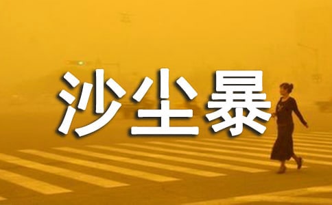 ɳ�������������ľ�ѡ��4ƪ��