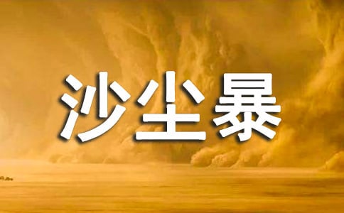 ɳ������������