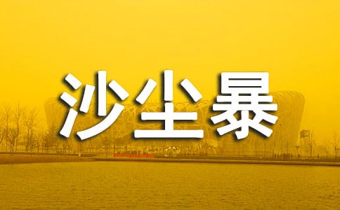 ɳ��������