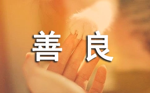 �Ŵ���д��������������