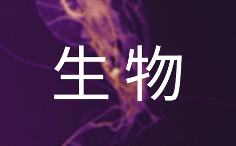 �ս̰���꼶�²�������ѧ�ƻ���ͨ��14ƪ��