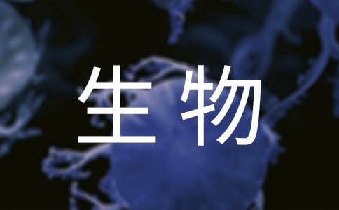 ��һ�꼶�ϲ�����ʳ����ϰ��