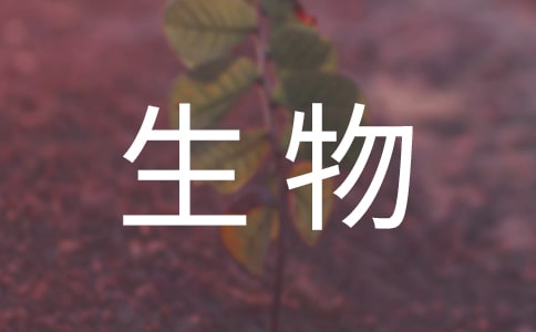 Ů��������èһ����������Ҫ����������