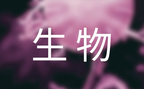 ����һ�꼶�����ϲ��������