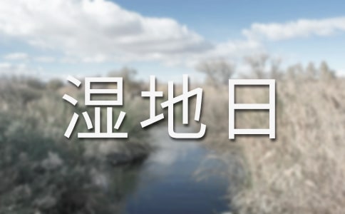�ι���Ϫʪ���ռ�