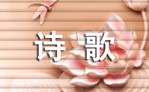 ��ʵ�ʫ��