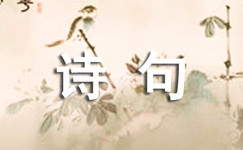 描写雨的诗句