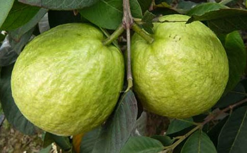 �ɰ���ʯ�����ģ�����5ƪ��