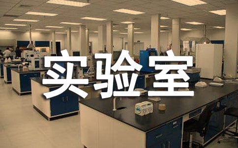 我的实验室作文