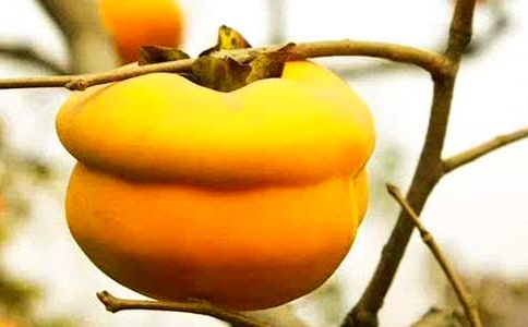 �յ������ӵ���������Щ