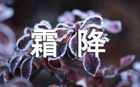 霜降文案(精选600句)