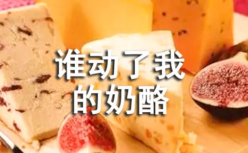 ˭�����ҵ����Ҷ���ʼǾ���