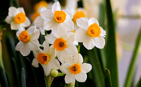 ˮ�ɻ����ĳ���[15ƪ]
