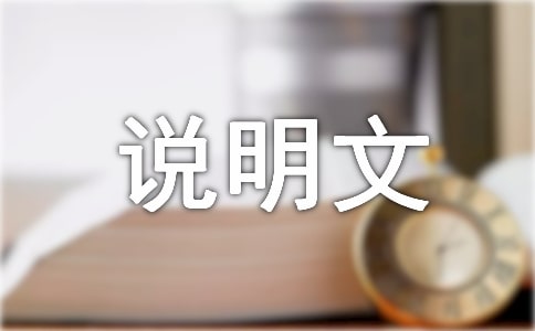 ���ڰ��̲���˵����800��