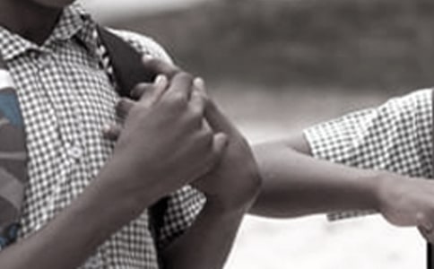 �ø������