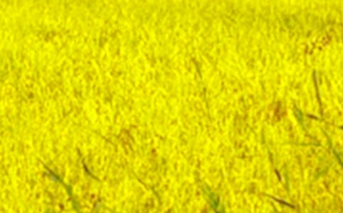 ��������Ұ����15ƪ[ʵ��]