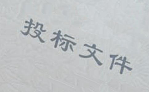 Ͷ�����ʽ