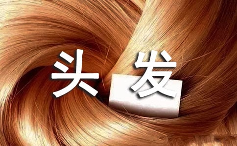 [�ϼ�]��ͷ������15ƪ