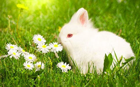 С���ӽ����˿�ͼд��10ƪ����ѡ��