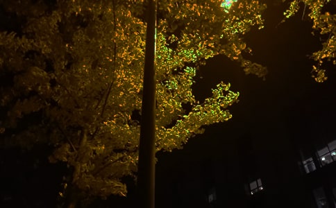 ������ů�������ʺ�����Ż��55��