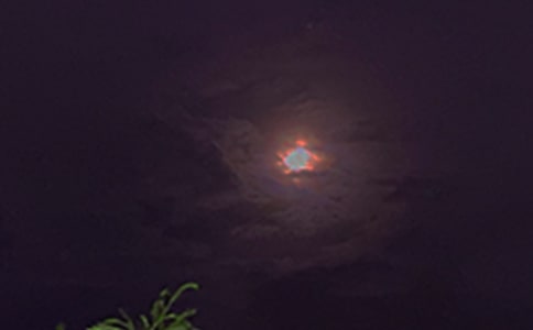 �Ƽ�Ψ�������İ�����175��