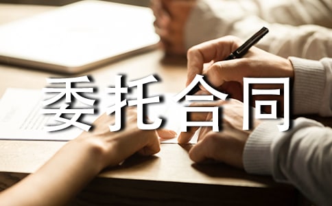 工程招标代理委托合同(通用11篇)