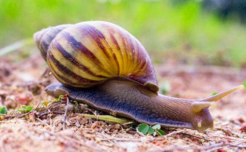 �ҵ���ţ����