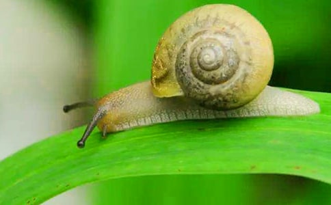 ����ѡ���ҷ�������ţ����������15ƪ