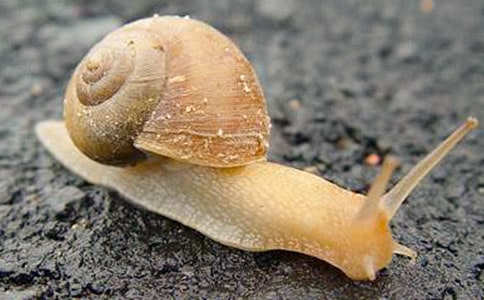׽��ţ����