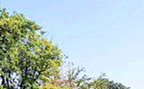 ����Ψ���簲�İ�����ѡ30�䣩