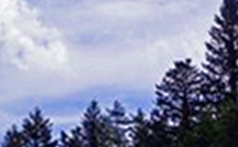 �����������簲�İ�30�侫ѡ