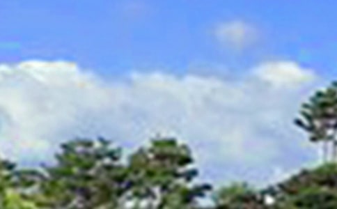 ����Ψ���簲�İ�����ѡ40�䣩