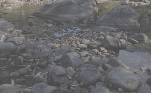 ���Ҽ���ǰ��СϪ�������꼶�Ķ���ʹ�