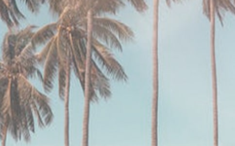 �ļ���ɹ˪�����ѡ