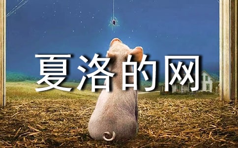�����������15ƪ(ʵ��)