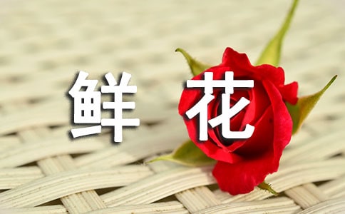 ���ʻ�����