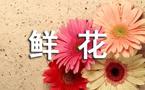 �ʻ�������5ƪ[��]