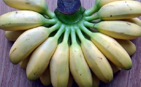 �㽶�Ĺ�Ч������