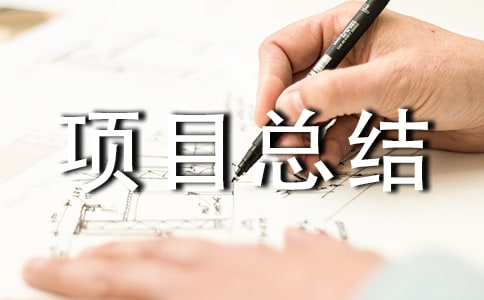 个人项目总结范文