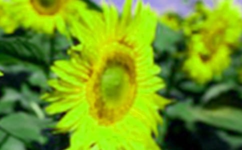 ���տ�����ͨ��15ƪ