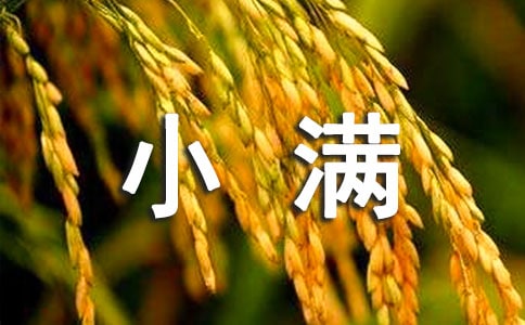С�����������İ�